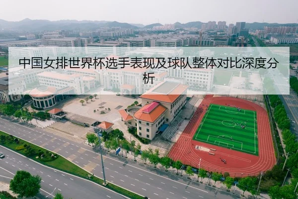 中国女排世界杯选手表现及球队整体对比深度分析